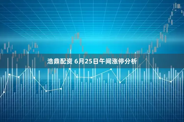 浩鼎配资 6月25日午间涨停分析