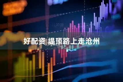 好配资 堤顶路上走沧州